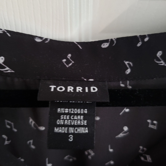 Torrid sheer blouse top - Picture 4 of 4